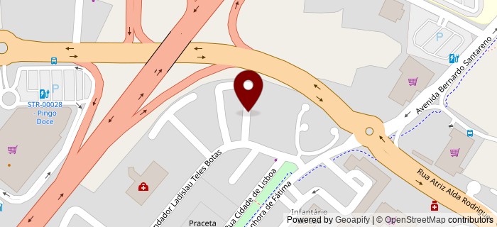 Praceta Actor M�rio Viegas, Santar�m