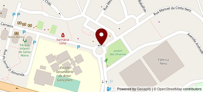 Rua Manuel da Costa Nery, Torres Novas