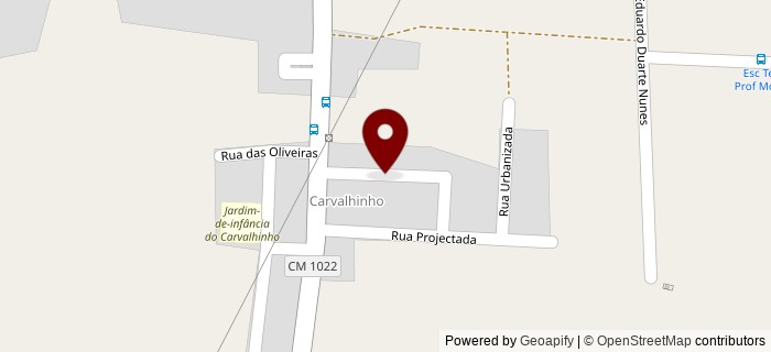 Rua Dom Afonso Henriques, Carvalhinho