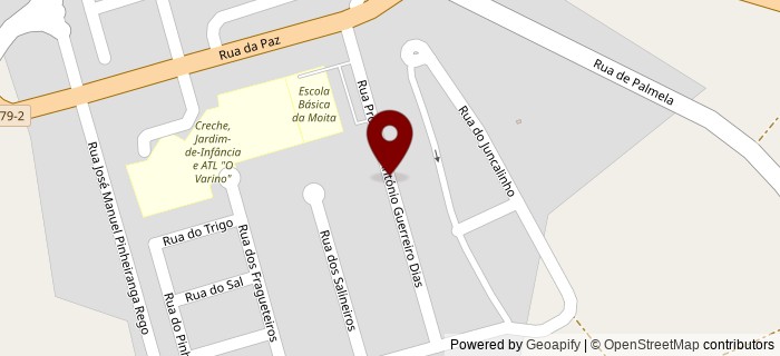 Rua Professor Ant�nio Guerreiro Dias, Palheir�o