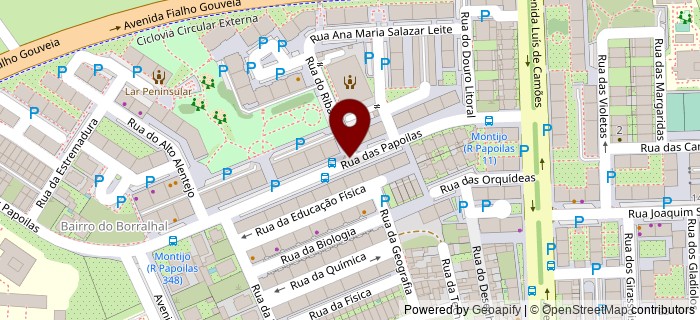 Rua do Ribatejo, Montijo