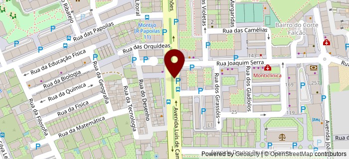 Avenida Lu�s de Cam�es, Montijo