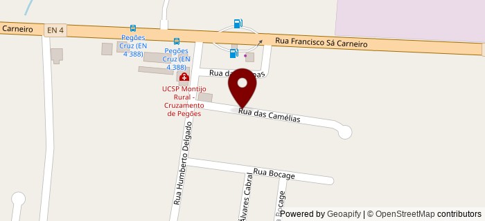 Rua das Cam�lias, Montijo