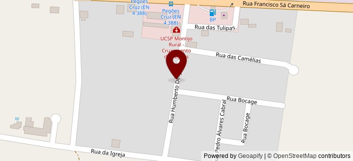 Rua Humberto Delgado, Peges