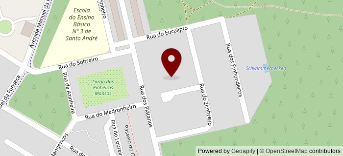 Salgueiro, Salgueiro