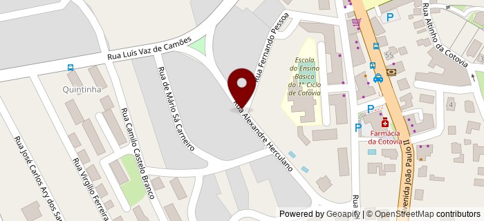 Rua Alexandre Herculano, Cotovia