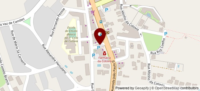 Rua Ant�nio Costa Ferreira, Cotovia