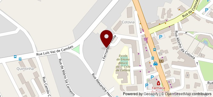 Rua Fernando Pessoa, Cotovia