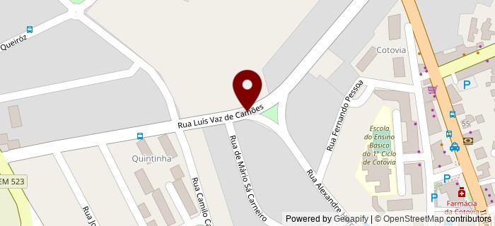 Avenida Lu�s Vaz de Cam�es, Cotovia