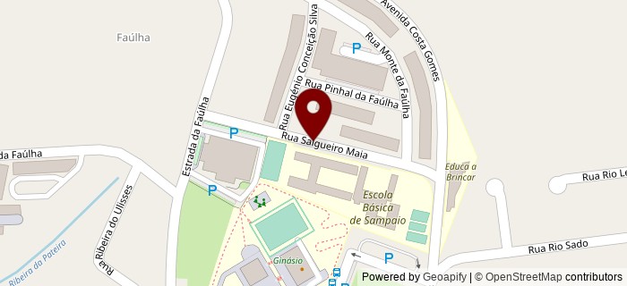 Rua Salgueiro Maia, Fa�lha