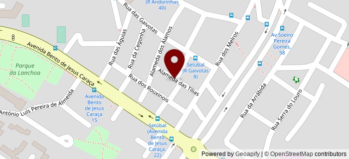 Alameda das T�lias, Set�bal