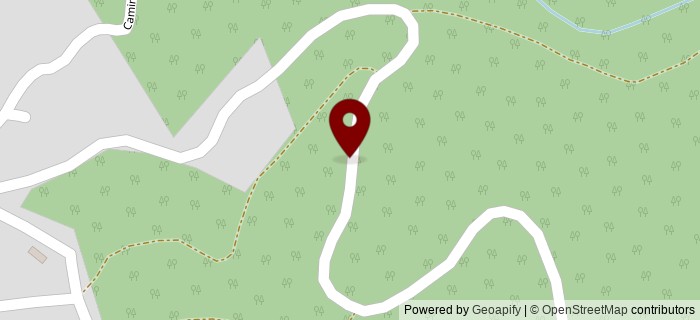 Estrada Florestal, Afife