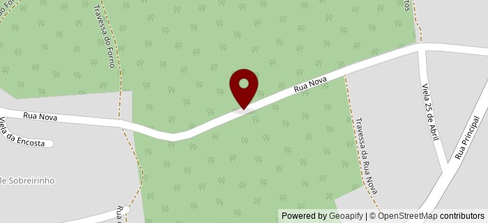 Rua Nova das Carmeleiras, Paredes