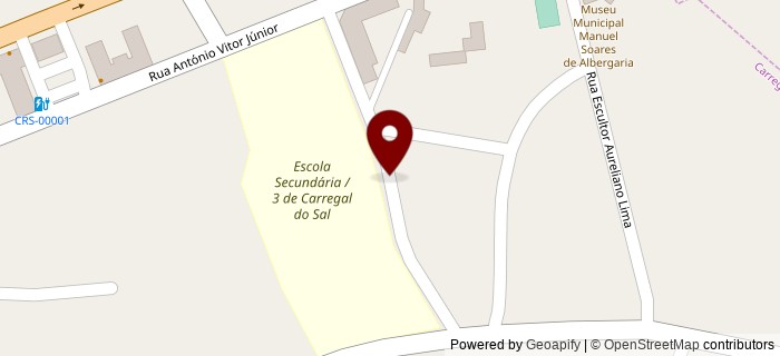 Rua Doutor Amadeu Matos Viegas, Carregal do Sal