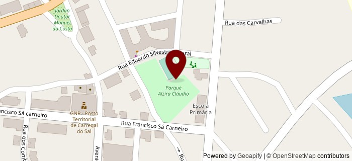 Rua Professor Delfim Pina, Carregal do Sal