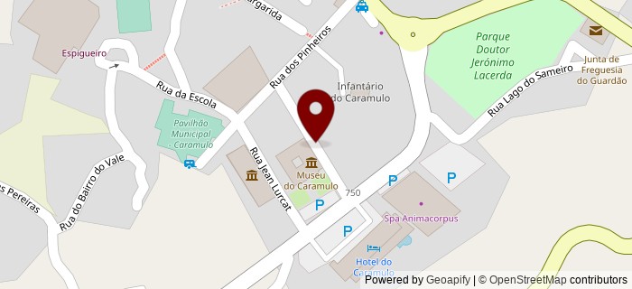 Rua Leopoldo Almeida, Caramulo