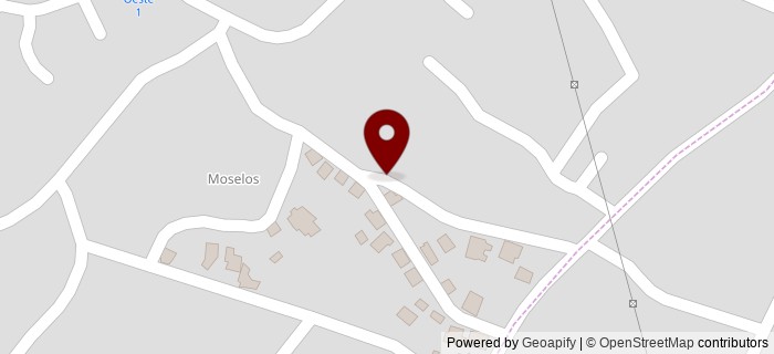 Rua Dona Isaura Nogueira Martins, Viseu