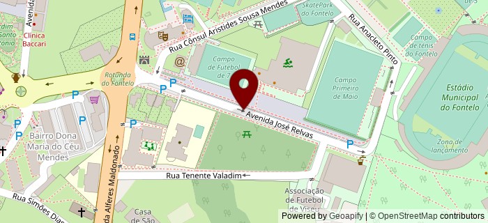 Avenida Jos� Relvas, Viseu