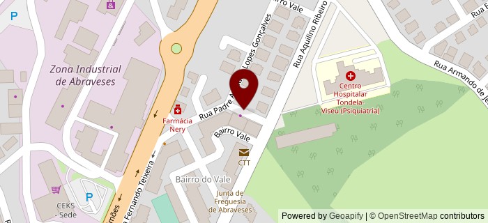 Rua Engenheiro Seixas de S�, Viseu