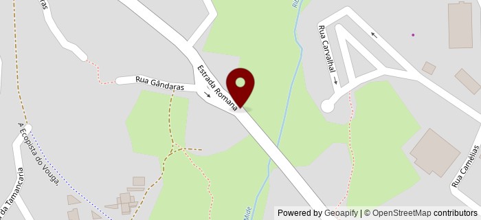 Estrada Romana, Viseu