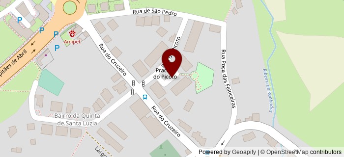 Praceta do Picoto, Viseu