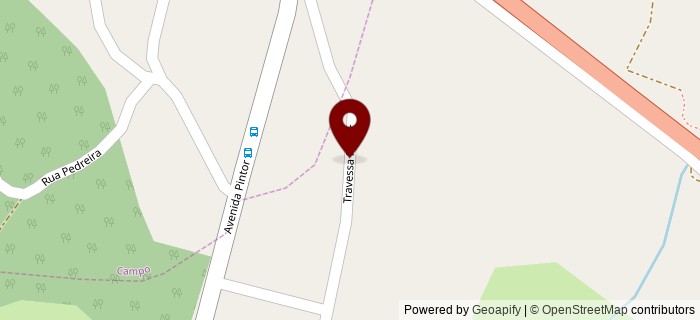 Quinta do Pintor, Viseu