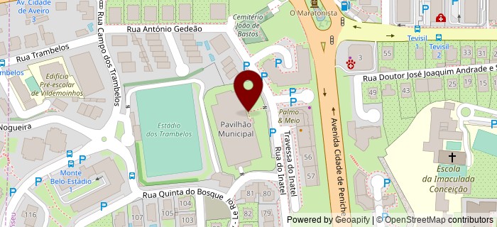 Rua do Inatel, Viseu