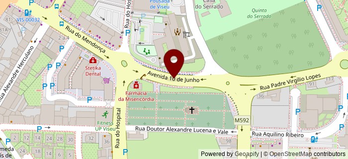 Avenida 10 de Junho, Viseu