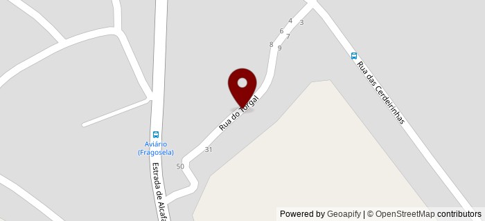 Rua do Torgal, Viseu