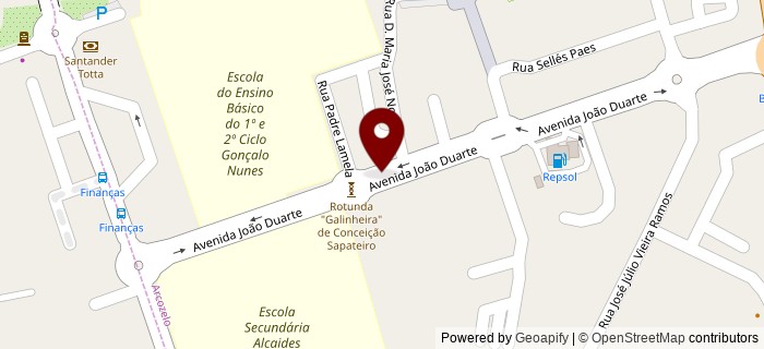 Avenida Jo�o Duarte, Barcelos