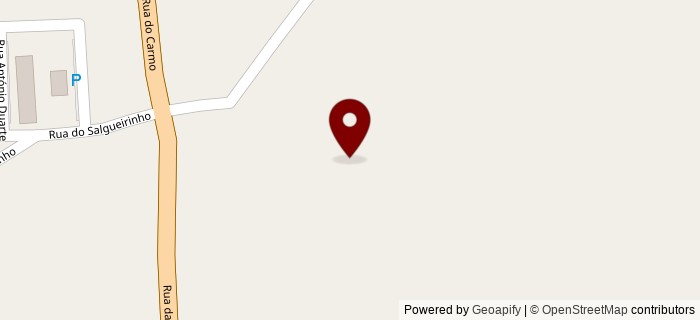 Rua do Salgueirinho, S�o Pedro Merelim