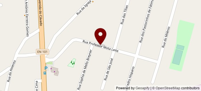 Rua Professor Mota Leite, Palmeira