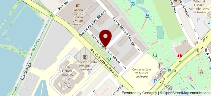 Rua Professor Egas Moniz, Aveiro