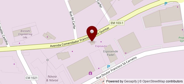 Avenida Comendador Francisco Alves Quintas, Esposende