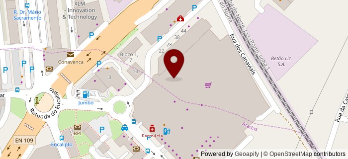 Rua do Eucalipto, Aveiro