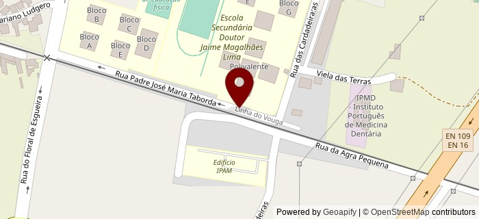 Rua das Cardadeiras, Aveiro