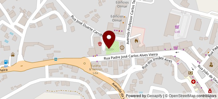 Pra�a Bombeiro Volunt�rio, Vieira do Minho