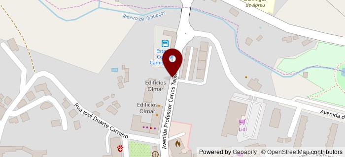 Avenida Professor Carlos Teixeira, Vieira do Minho