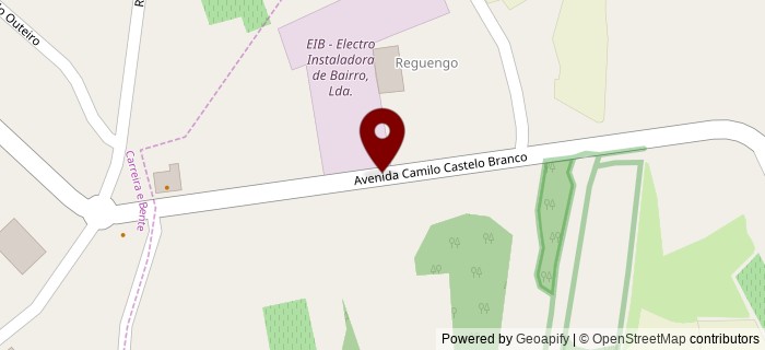Avenida Camilo Castelo Branco, Bairro