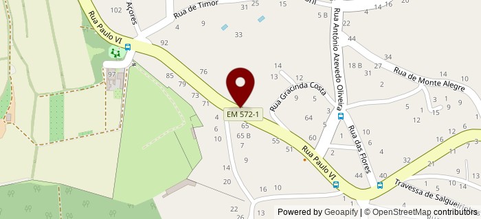 Rua Paulo VI, Ribeiro