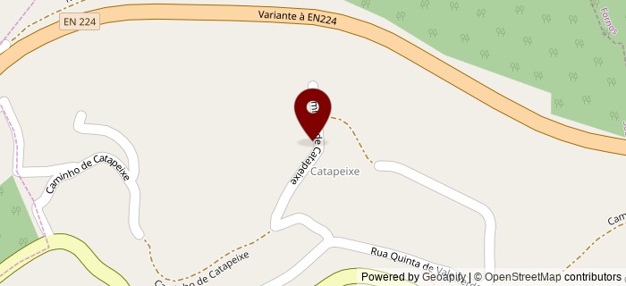 Catapeixe, Castelo de Paiva