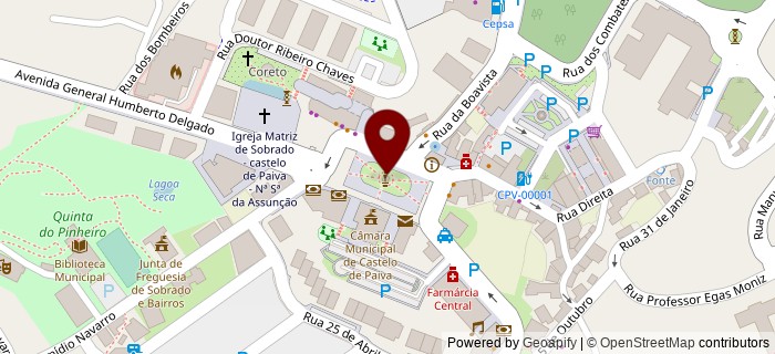 Coto, Castelo de Paiva