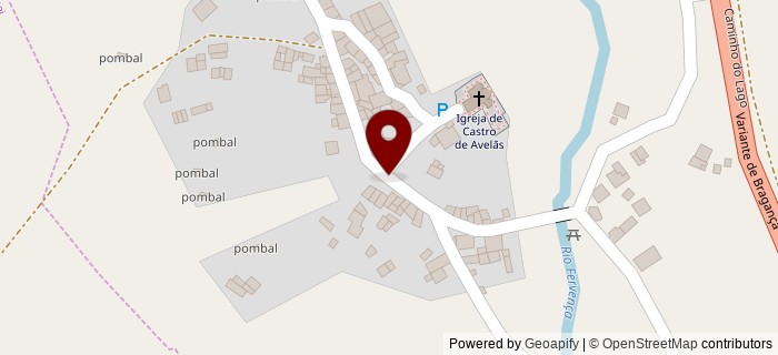 Castro de Avel�s, Castro de Avel�s