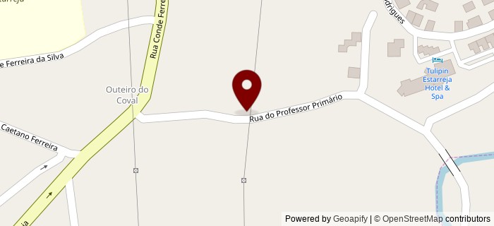 Rua do Professor Prim�rio, Estarreja