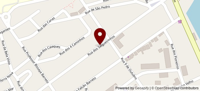 Rua dos Salgueirinhos, Gala