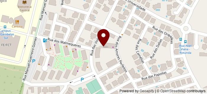 Rua das Orqu�deas, Faro